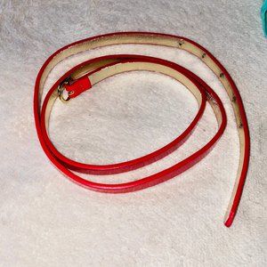 belt